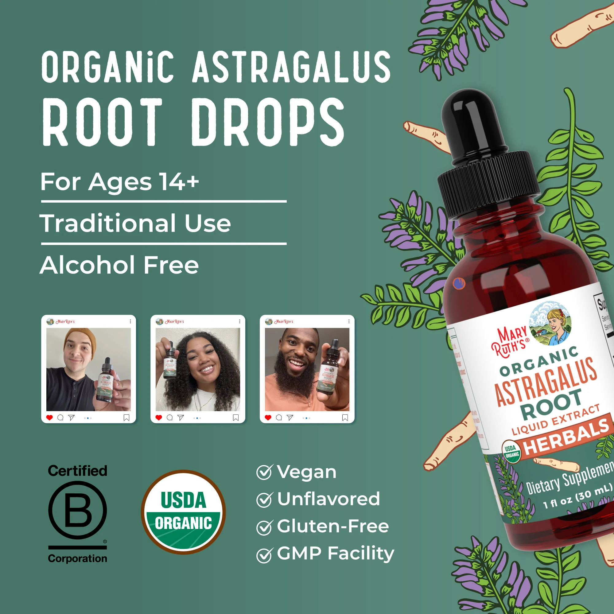 Organic Astragalus Root Herbal Drops - Image 8